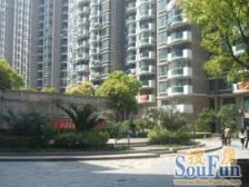 南北通 精装修 采光好 视野佳无遮挡满五 诚意出售