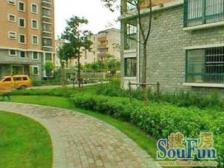 大宁罕见空中花园大别墅,开发商自住别墅,配套齐全