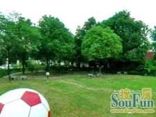 一眼心动,独门独院大户型四房两卫,精致装修带车位