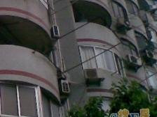 卢湾二向明,格局通透,漂亮朝南一室户,美丽梧桐