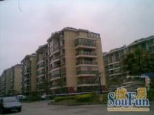 共富鑫鑫花园3室南朝向350.00万元/套出售