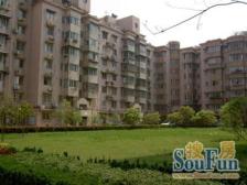 户型方正 楼层适宜 采光wd 景观好