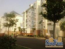 稀有东川苑+大双南+精装修+东边套