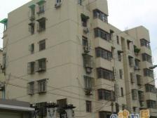 澳门小区 3室1厅 南 东南