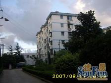 金鹏苑中间楼层一房 交通方便配套成熟 位置好 户型正