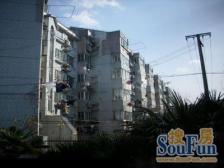 在暗处执着生长,终有一日馥郁传香