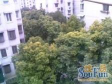 清涧八街坊2室南朝向259.00万元/套出售