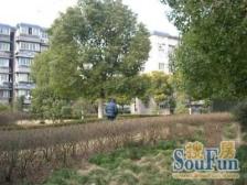 新上双南两房,美妙楼层,一梯两户,房东诚意出售