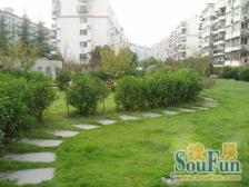 普陀中环+电梯两房+首套刚需必看+近地铁+配套全