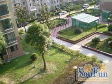 新上大三房,楼上有50平平层加60平露台,近地铁9号线