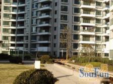 新出精装大二房,落地窗,采光好,正看小区花园!