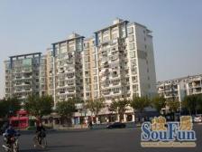 电梯复式!带产权卷帘门车库 大露台!必看好房 安静位置