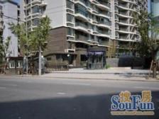 曹家渡板块 05年品质小区全南全明一房 采光视野好