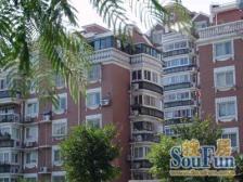 近新江湾 上叠5复6带7楼阁楼 5室3厅 精装修 交通便利