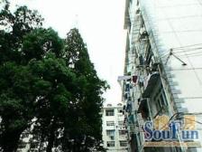 凤城二村3室东朝向625.00万元/套出售