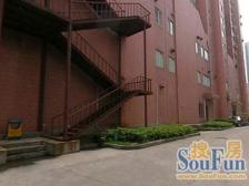 桃林公寓 2室2厅 南