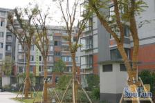 中间楼层+飞机户型+自住保养!!!!