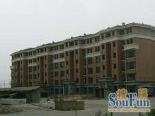 无抵押,电梯房,中间楼层 新上房源