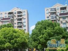 板式飞机户型,南北通透,带大阁楼,业主置换诚意