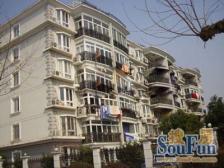 白玉兰奖小区,一楼带大花园,小区品质高