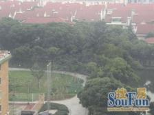 满五,产权清晰 家具全送,新上房源