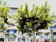 洋泾·巨**区·1室·1厅