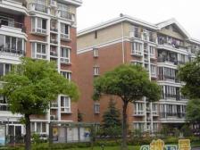 中环内 02年商品房 地铁口 一梯两户 带复式阁楼