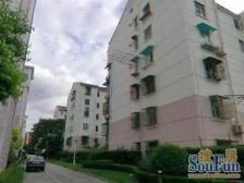 聚星苑2室南朝向585.00万元/套出售