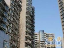 旭辉集团处女作,孤品户型买的时候需要靠抢,惜售好房