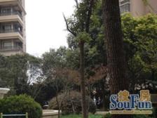 豫园核心板块,高区大三房,钥匙委托,随时看房