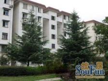 莘庄 · 黎安二村 · 2室 · 2厅