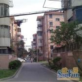 莘庄·公园旁,生态好·近12号线·生活便利