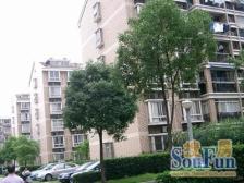 森林公园一路之隔满五年产权清晰。有阁楼,有产权车位