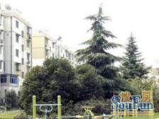 金桥东荷小区一房一厅好房子