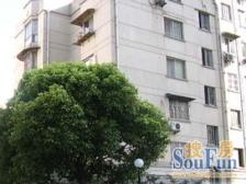 棕榈苑3室1厅南