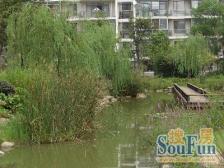 电梯中等楼层,总价低,全明户型诚意出售,价格可谈