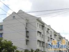 金杨·银山小区·3室·1厅