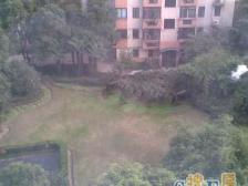 地铁9/12号线沿线 带产权车库 税费各付 双南户型