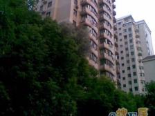 嘉善路9.12号 电梯高区双南视野好 全明格局 方便看房