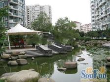 挑高客厅+南北看景观+户型好+11