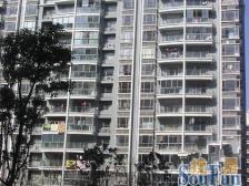 满五 采光视野无遮挡 得房率高 出行方便