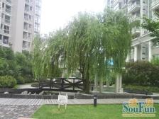 四季晶园3室南朝向1400.00万元/套出售