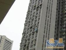 内环内电梯双南两房,业主诚意,看房方便,价格可谈