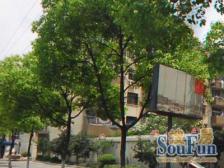 近地铁精装满五,新上房源