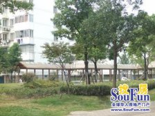 姑苏胥江 广大家园 3室2厅 复式大露台 采光无遮挡