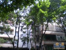 不靠路 石米外墙 30号小区门口 近花城路地铁