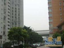 新海城3室东朝向488.00万元/套出售