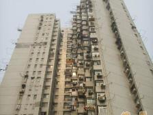 内环旁电梯房,在家就能看公园绿化,配套齐全出行便利