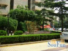 近地铁,无抵押,电梯房满五,必看好房