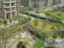 宝地新品居1室南朝向550.00万元/套出售